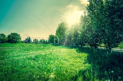 Countryside landscape with beautiful sunshine