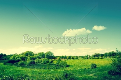 Countryside landscape with green fields
