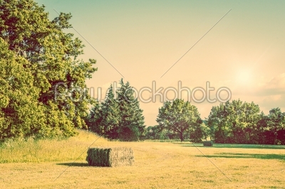 Countryside scenery with bales of hay