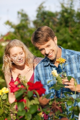 Couple doing garden work in the flower bed at beautifully sunny day