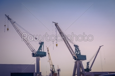 Cranes at a shipping harbor