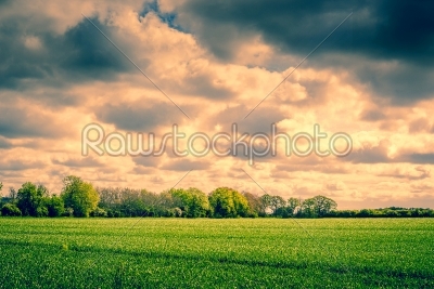 Dark clouds over a field