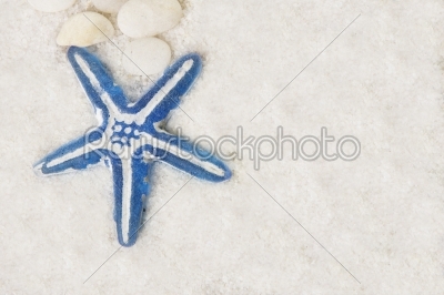 decoration starfish