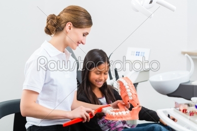 Dentist with toothbrush, denture, and little patient