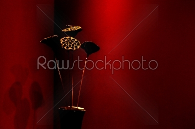 Dry floral decoration in vase to red wall