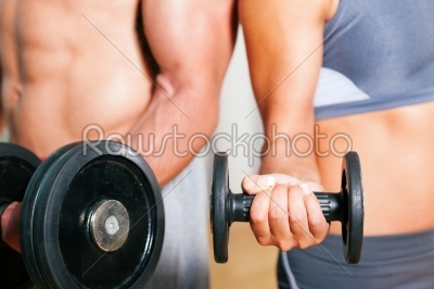 Dumbbell exercise in gym 