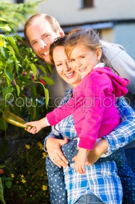 Family in garden harvesting bell pepper