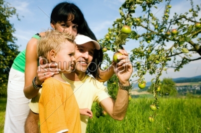 Family Picking apples