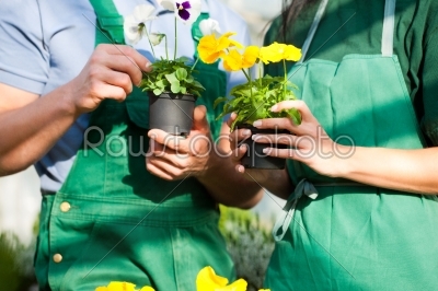 Female and male gardener in market garden or nursery