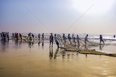 Fishermen cathing fish in early morning time after whole night f
