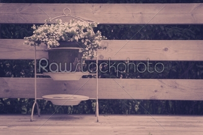 Flower pot on a terrasee