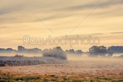 Fog over a countryside landscape