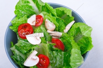 fresh mixed salad 
