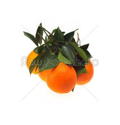 fresh orange isolated