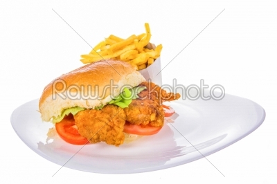 fried chicken in bread bun with french fries on plate