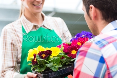 Gardener in market garden or nursery