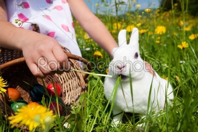 girl feeding bunny
