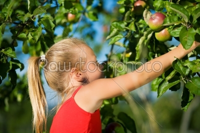 Grabbing the apple