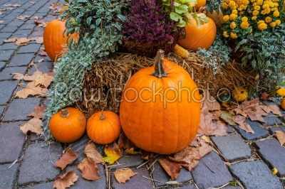 Halloween ornament at autumn