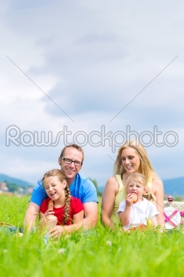 Happy family having picnic in meadow