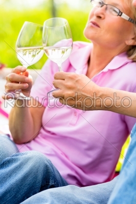 Happy seniors having picnic drinking wine