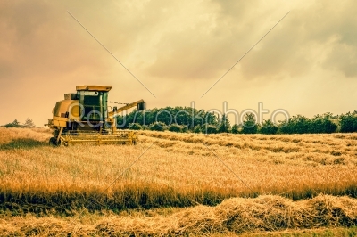 Harvester machine on a field