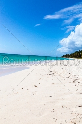 Isla Saona beach in the Caribbean