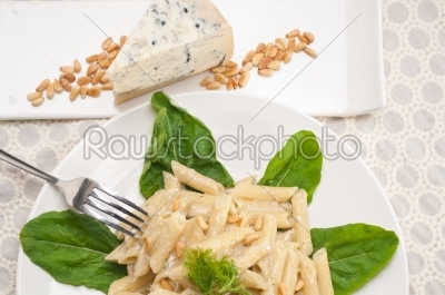 Italian pasta penne gorgonzola and pine nuts