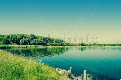 Lake surrounded by green trees