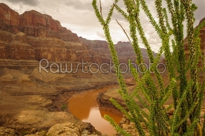 Las vegas Grand Canyon colorado river