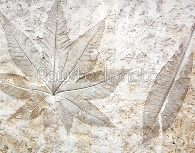 Leaf cement