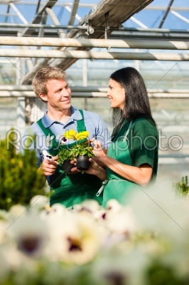 Male and female florist or gardener in flower shop or nursery
