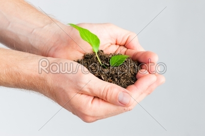 Man holding seedling in his hands