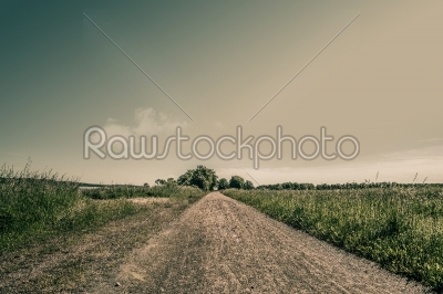 Nature path with fields and trees