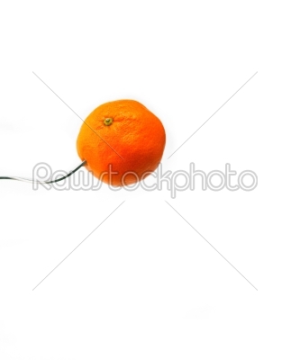 orange mandarin tangerine on fork over white 