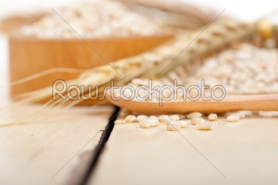 organic barley grains