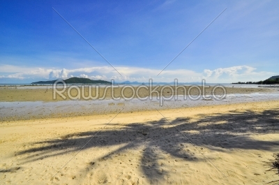 panoramic tropical beach with coconut palm blue sky. Koh Samui,