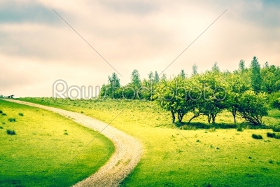 Path on a green field