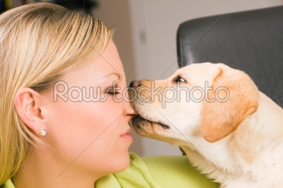 Puppy dog biting
