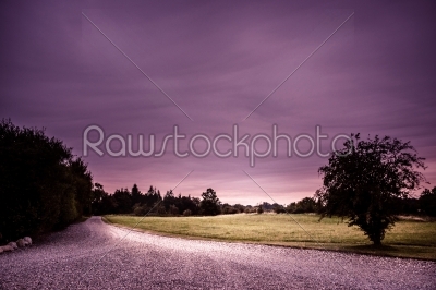 Purple road