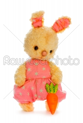 Rabbit bunny toy with carrot isolated in hand
