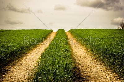 Road on a field with green grass