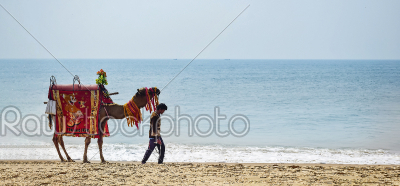Sad camelman walking with him camel at the beach area of some In