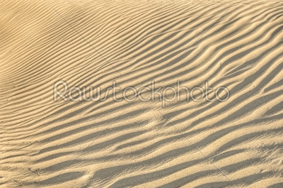 sand dune texture