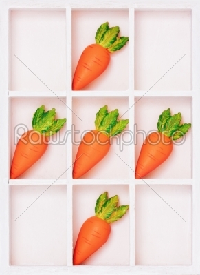 Simple box with carrots on cells isolated