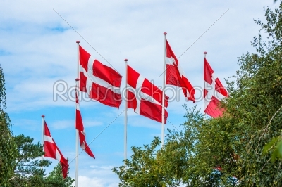 Six danish flags on flagpoles