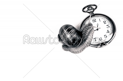 Snail and time