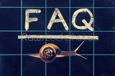 Snail on black chalkboard with abbreviation FAQ handwritten