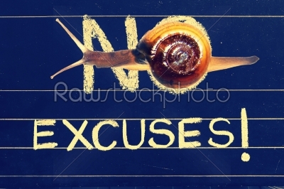 Snail on blackboard with handwritten as no excuses phrase