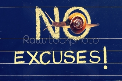 Snail on blackboard with handwritten as no excuses phrase